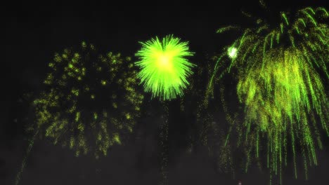 Animation-of-green-fireworks-exploding-on-black-background
