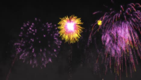 Animation-of-yellow-and-pink-fireworks-exploding-on-black-background