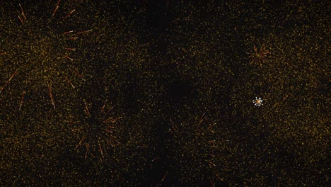 Animation-of-2024-and-yellow-fireworks-exploding-on-black-background