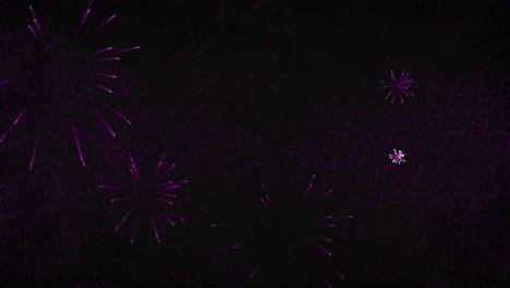 Animation-of-new-year's-eve-greetings-and-pink-fireworks-exploding-on-black-background