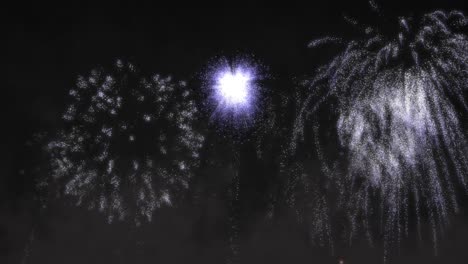 Animation-of-white-and-purple-fireworks-exploding-on-black-background