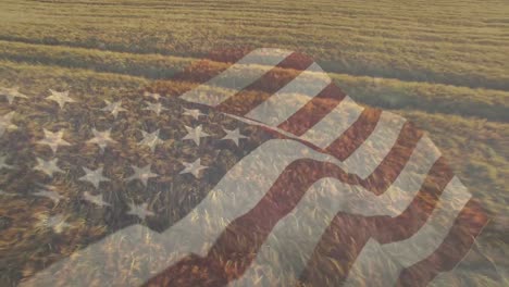 Animation-Der-Flagge-Amerikas,-Die-über-Gepflügtes-Landwirtschaftliches-Feld-Weht