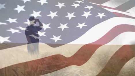 Animation-Einer-Wehenden-Amerikanischen-Flagge-Mit-Einem-Mann,-Der-Im-Weizenfeld-Stand-Und-Wegschaute