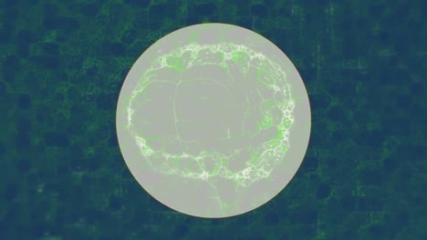 Animation-of-digital-brain-over-squares-and-white-circle