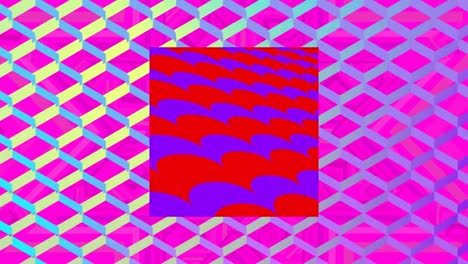 Animation-of-red-square-with-purple-waves-over-blue-diamond-grid-on-pink-background