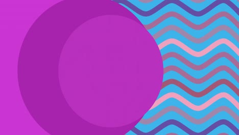 Animation-of-purple-circles-over-pink-and-purple-wavy-lines-on-blue-background
