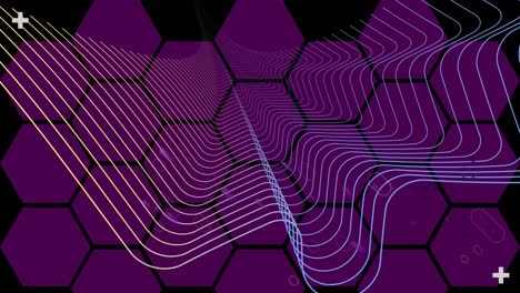 Animation-of-lilac-fireworks-and-colourful-parallel-lines-over-purple-hexagon-grid