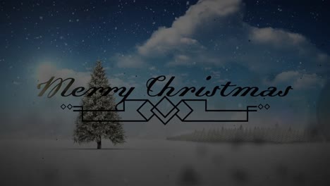 Animation-of-christmas-greetings-over-decoration,-christmas-tree-and-snow-falling