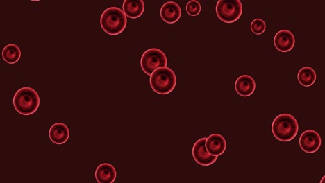 Animation-of-red-blood-cells-moving-on-dark-background