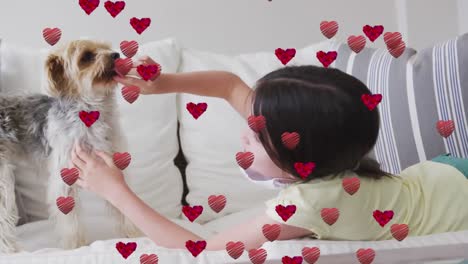 Animation-of-hearts-moving-over-caucasian-girl-wearing-face-mask-playing-with-her-pet-dog