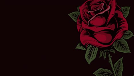 Animation-Einer-Einzelnen-Roten-Rose,-Die-Sich-Bewegt,-Mit-Kopierraum-Auf-Schwarzem-Hintergrund
