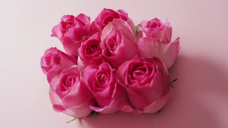 Bouquet-of-pink-roses-on-pink-background-at-valentine's-day