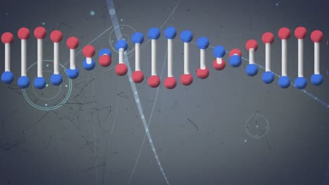 Animación-De-Una-Cadena-De-ADN-Girando-Sobre-Una-Red-De-Conexiones.