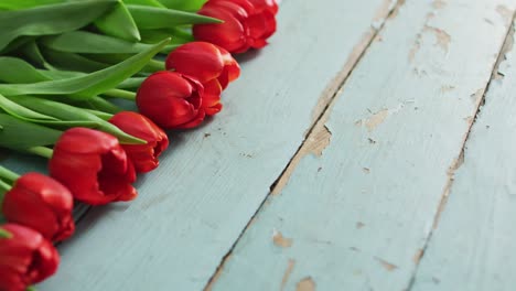 Strauß-Roter-Tulpen-Auf-Holzhintergrund-Am-Valentinstag