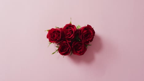Bouquet-of-red-roses-on-pink-background-at-valentine's-day