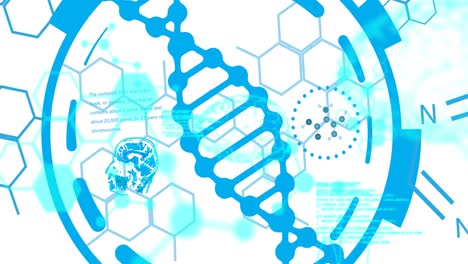 Animation-of-scientific-data-processing-over-dna-strand-spinning