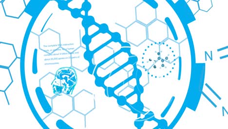 Animation-Der-Wissenschaftlichen-Datenverarbeitung-über-Das-Spinnen-Von-DNA-Strängen