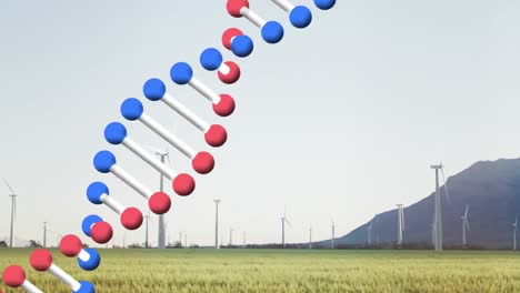 Animation-Eines-DNA-Strangs,-Der-Sich-über-Windkraftanlagen-Auf-Dem-Land-Dreht