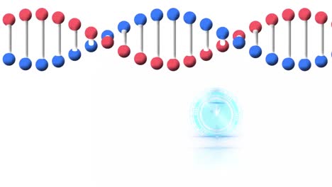 Animation-of-clock-moving-fast-and-dna-strand-spinning-on-white-background