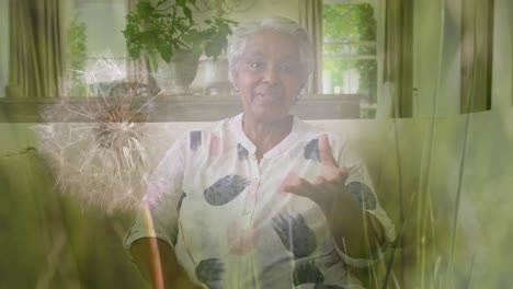 Animation-Einer-älteren-Afroamerikanischen-Frau,-Die-über-Gras-Spricht