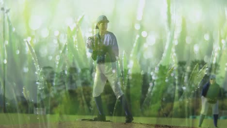 Animation-of-grass-over-caucasian-female-baseball-player