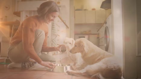 Animation-of-happy-caucasian-woman-feeding-dogs-over-light-spots