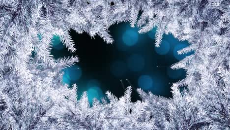 Animation-of-christmas-white-fir-tree-frame-over-spots-of-light-over-black-background