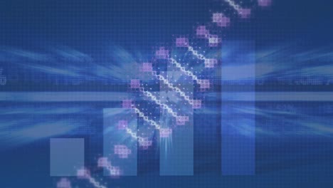 Animation-of-dna-strand-over-graph