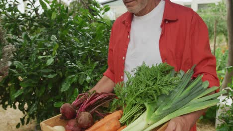 Senior-caucasian-man-walking-with-basket-of-fresh-vegetables-in-garden