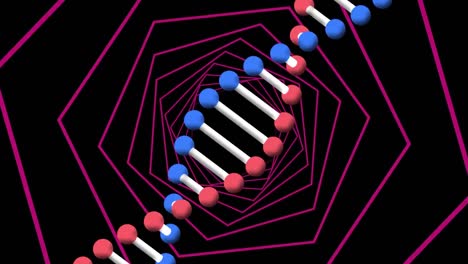 Animation-of-dna-strand-over-neon-hexagons