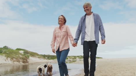 Smiling-senior-caucasian-couple-holding-hands-and-walking-with-dogs-at-beach