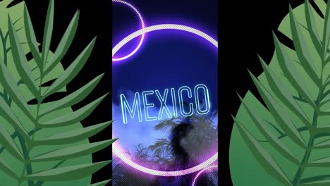 Animation-Von-Mexiko-Text-über-Blättern-Und-Neonkreisen