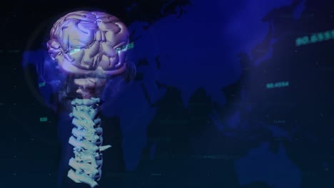 Animación-Del-Mapa-Mundial-Y-Números-Sobre-El-Cerebro-Giratorio-Sobre-Fondo-Azul-Oscuro