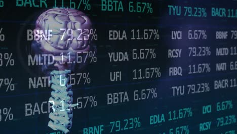 Animation-of-stock-market-data-over-rotating-brain-on-dark-blue-background