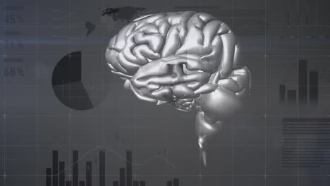 Animation-of-rotating-brain-over-diverse-data-on-grey-background