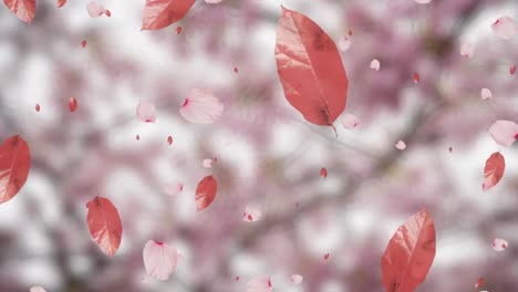 Animation-of-falling-leaves-over-pink-background
