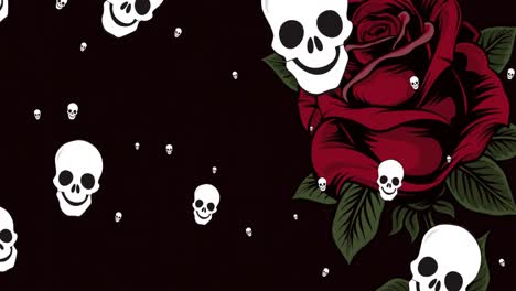 Animation-of-skull-icons-falling-and-rose-on-black-background