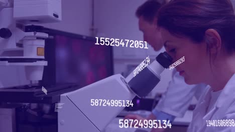 Animation-of-increasing-numbers-over-female-and-male-analysts-using-microscope