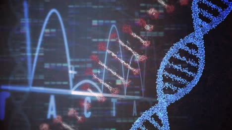 Animation-Von-DNA-Strängen-Und-Diagramm-Auf-Schwarzem-Hintergrund
