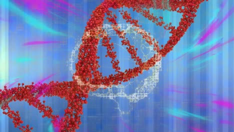 Animation-of-digital-brain-and-purple-trails-over-dna-strand