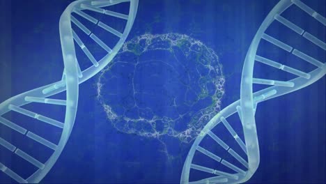 Animation-of-dna-strand-and-digital-brain-on-blue-background