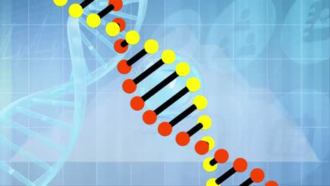 Animation-of-clock-moving-and-medical-icons-over-dna-strand