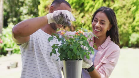 Happy-biracial-couple-gardening,-holding-pot-with-flowers-and-laughing-into-camera