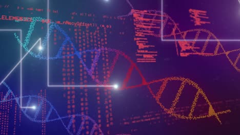 Animation-of-dna-strands-and-data-processing-over-purple-background