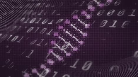 Animation-of-dna-strand-over-binary-coding-on-purple-background