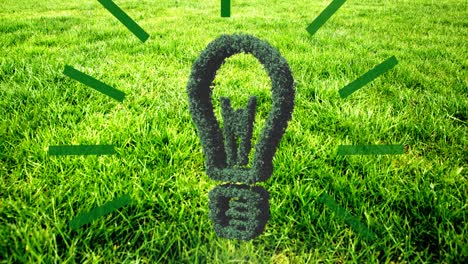 Animation-of-green-lightbulb-over-grass