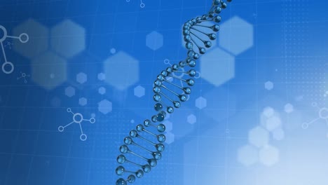 Animation-of-dna-strand-and-hexagons-over-blue-background