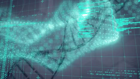 Animation-Des-DNA-Strangs-Und-Der-Datenverarbeitung-Auf-Grauem-Hintergrund