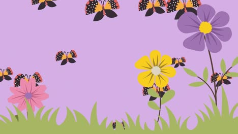 Animation-of-butterflies-over-flowers-on-pink-background