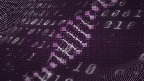 Animation-of-dna-strand-and-binary-coding-over-purple-background